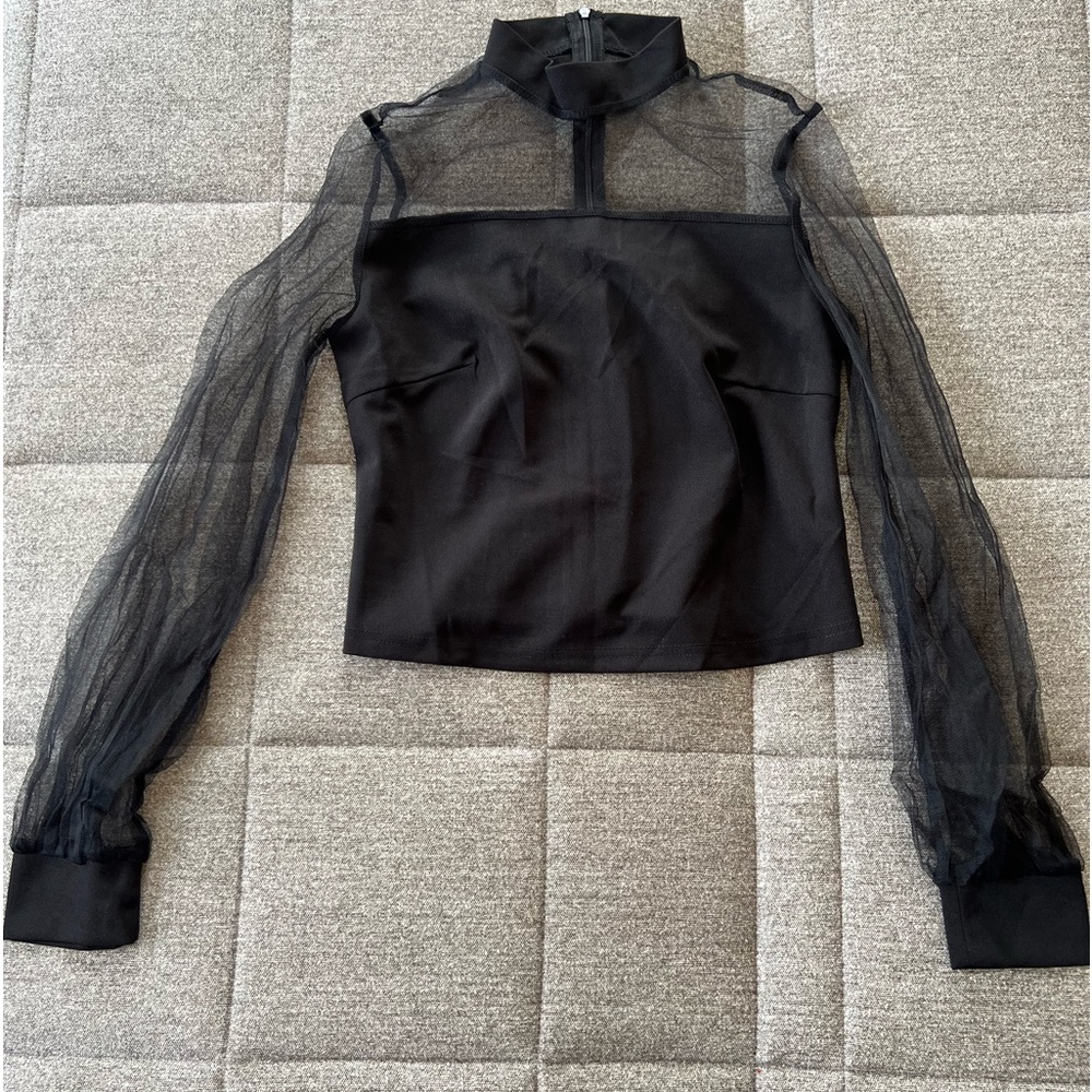 Mesh Long Sleeve Crop Top- SHEIN